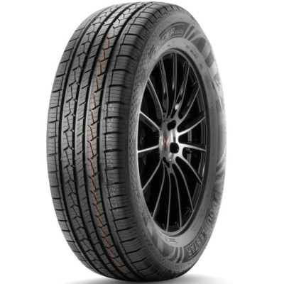 DoubleStar DS01 245/45 R19 98H