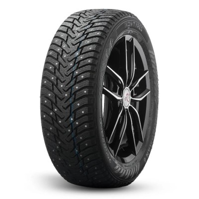 Ikon Tyres Nordman 8 205/60 R16 96T XL