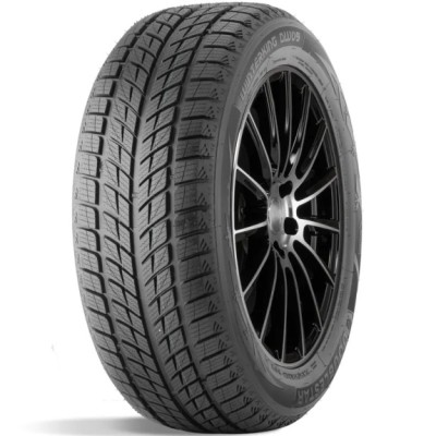 DoubleStar DW09 315/35 R20 106T