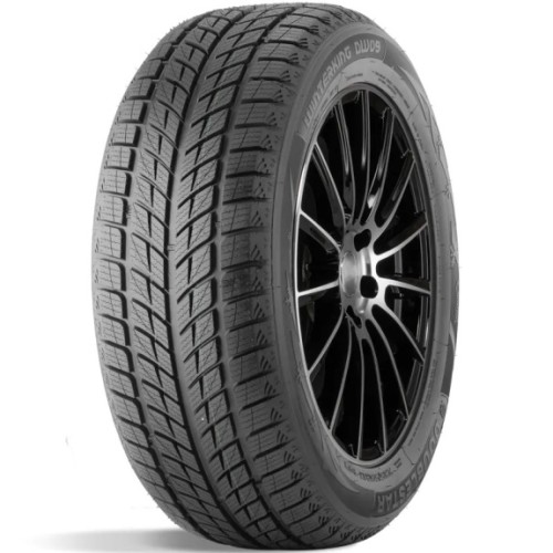 DoubleStar DW09 255/50 R20 109H XL